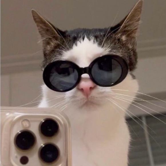 nita_z